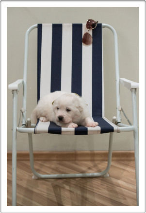 Capture One Session0379_1